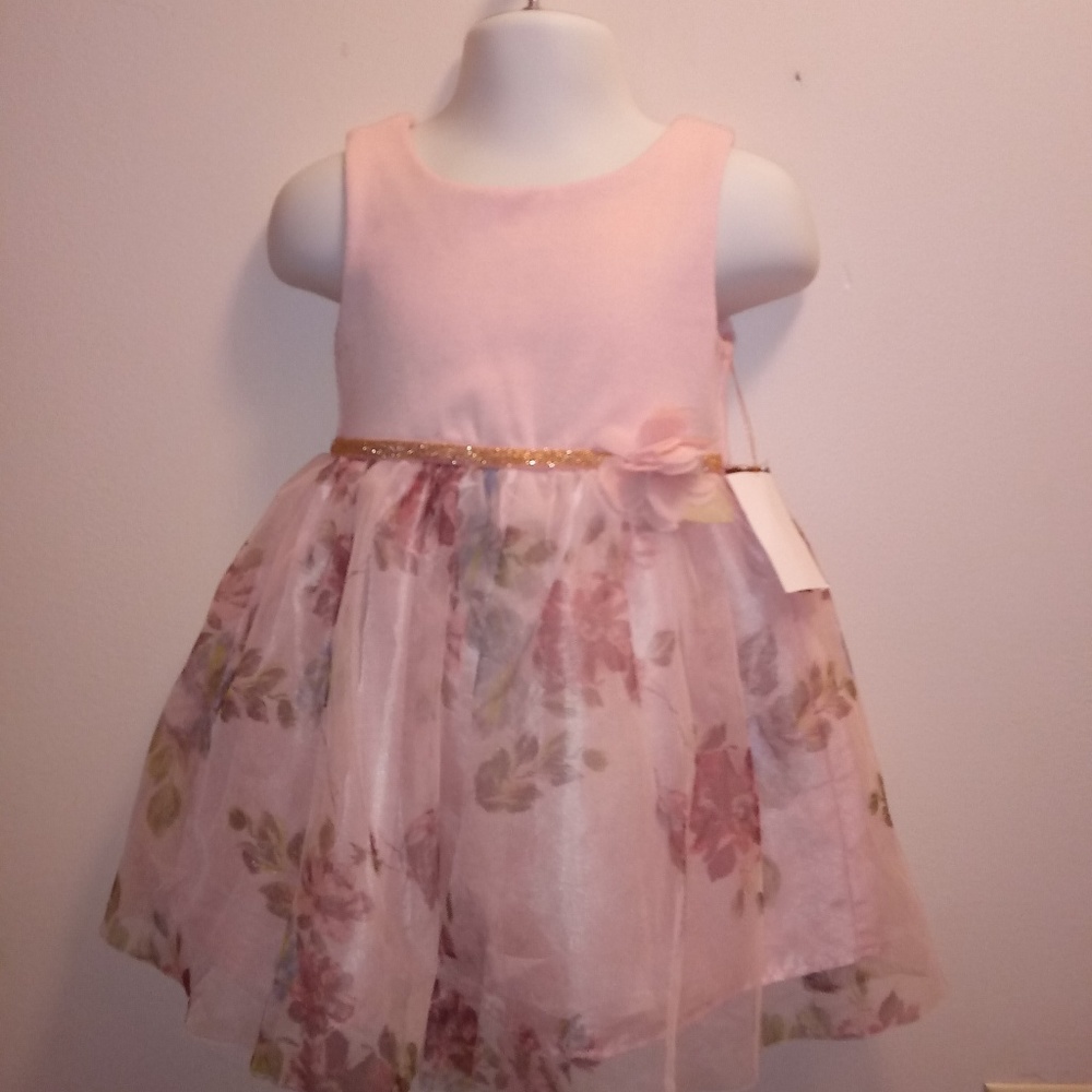 Baby girl pink dress